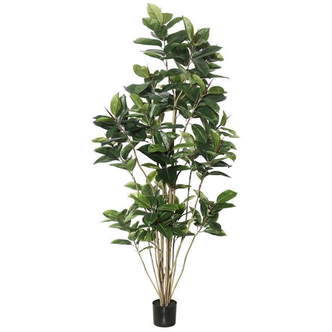 Festive Grandeur 7ft Potted Green Rubber Tree with 148 Lush Leaves