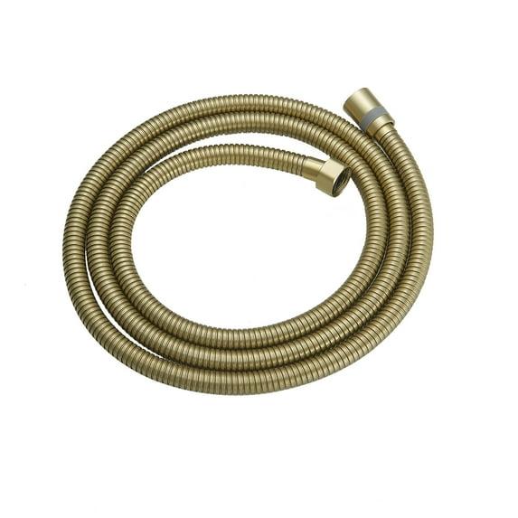 VIBRANTBATH 71 In. Modern Flexible Handheld Shower Hose Replacement For Bathing Toilet Cleaning Pet With Brass Fitting In Chrome 180-BG