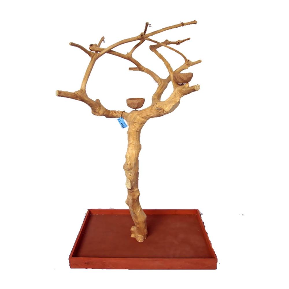 A&E Cage Company Small Java Wood Bird Tree with Kamper Wood Base