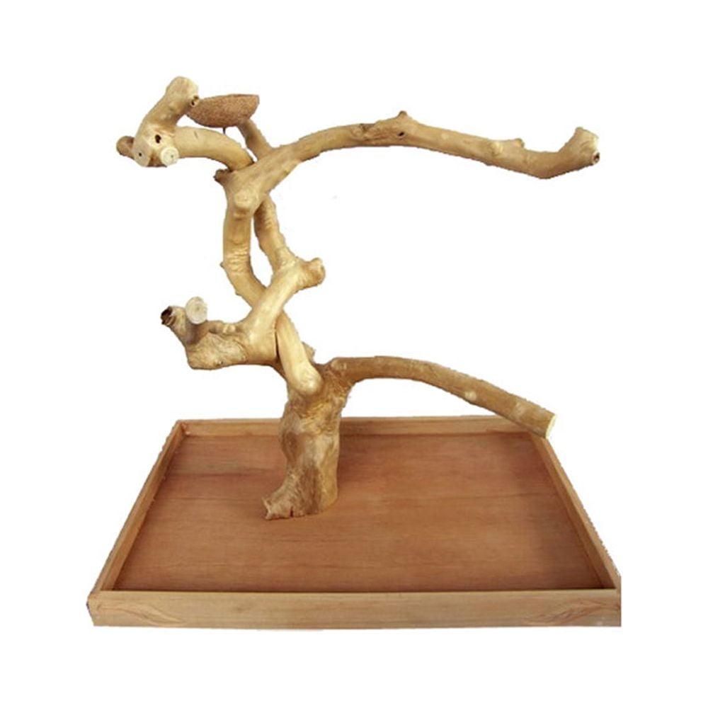 XL Natural Java Wood Bird Play Stand with Kamper Wood Base