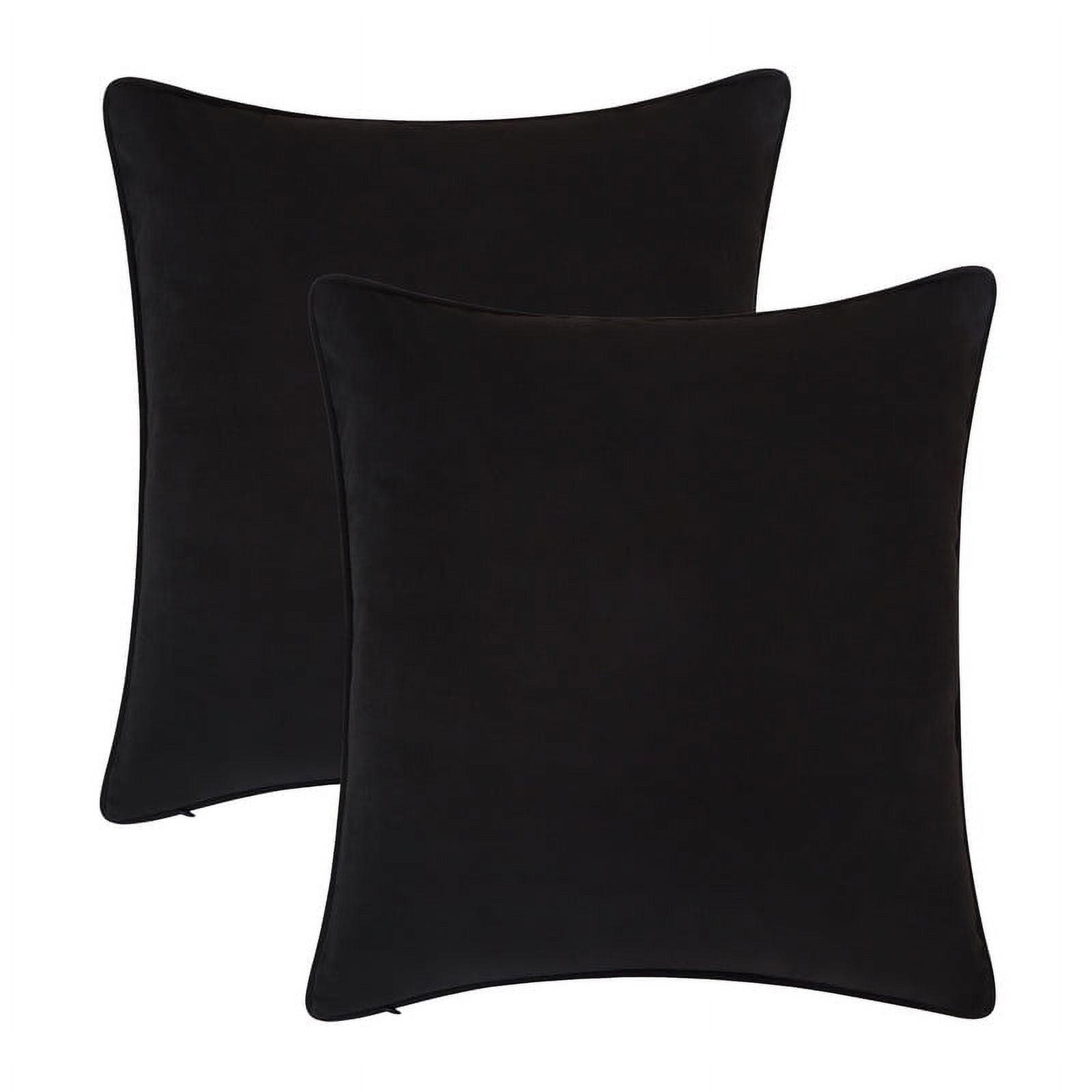 A1 Home Collections LLC Velvet Pillow Cover (Set of 2)