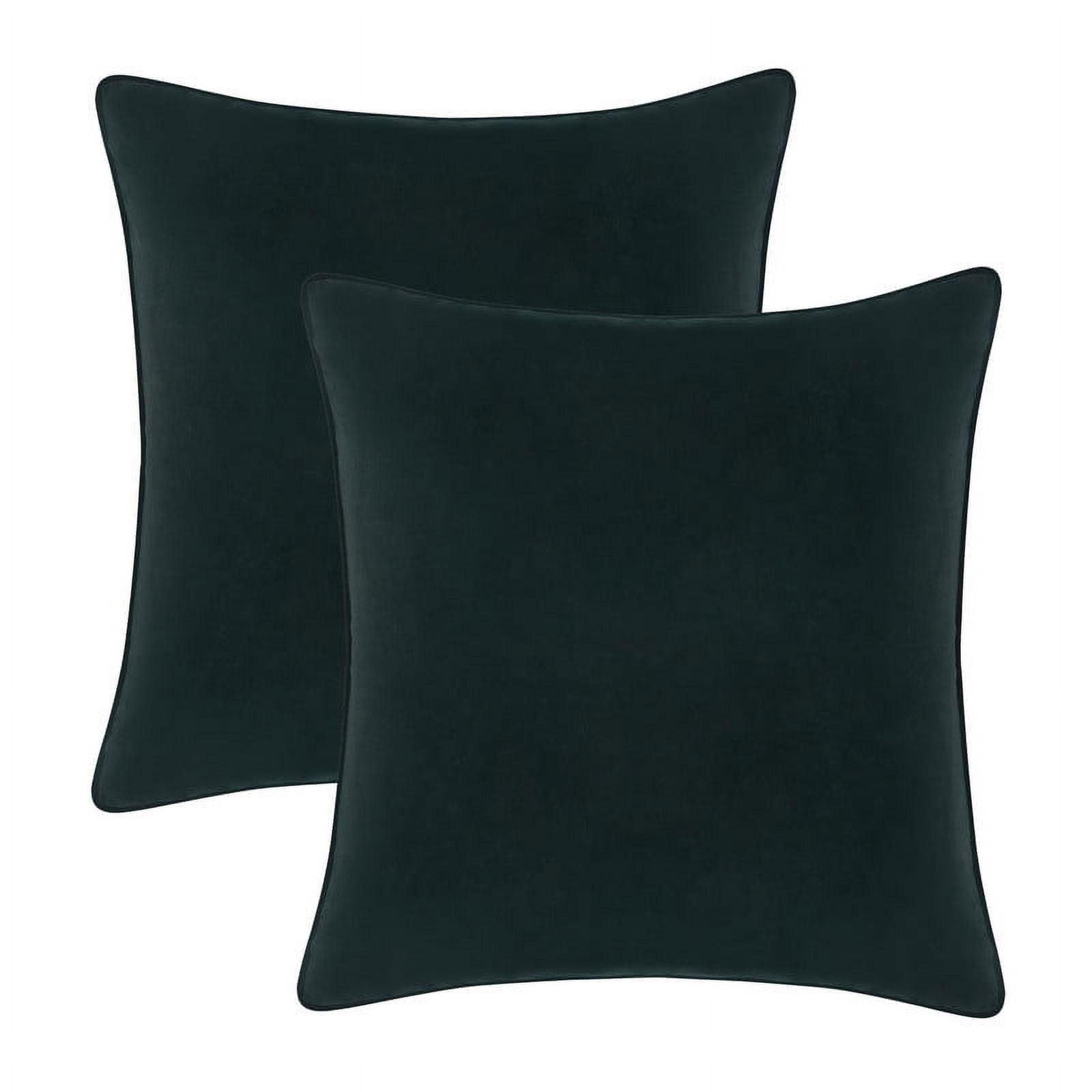 A1 Home Collections LLC Velvet Pillow Cover (Set of 2)