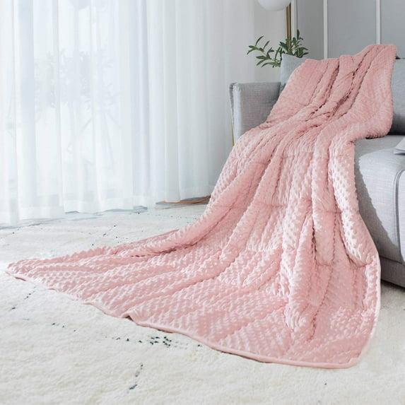 ALANSMA Weighted Blanket for All Season, Luxury Velvet, Warm and Cool, Adult Kids Reversible 15Lb Weighted Blanket, Enjoy Sleeping Anywhere(Pink,60"x80" 15lbs)
