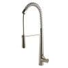 Alfi Brand Pull Down Kitchen Faucet