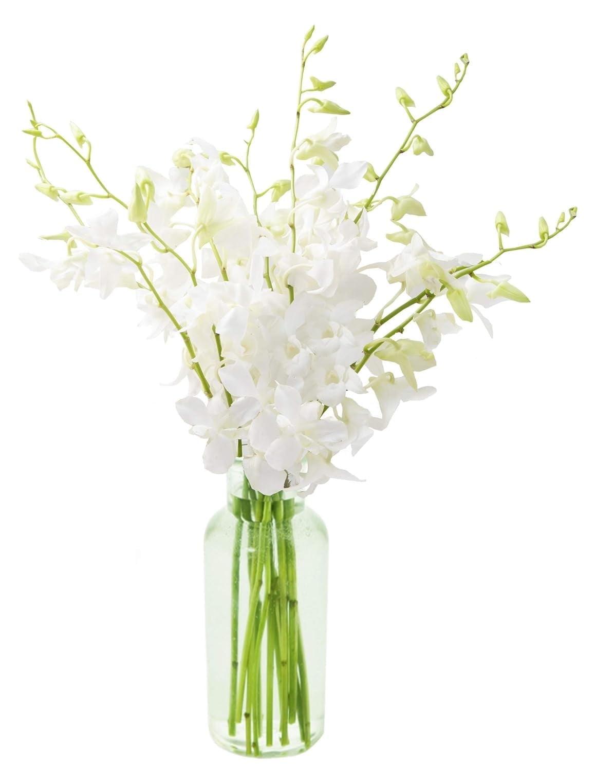 KaBloom : Fields of Tranquility Bouquet of 20 White Orchid With Vase.Gift for Birthday, Sympathy, Anniversary, Get Well, Thank You, Valentine, Mother’s Day Fresh Flowers