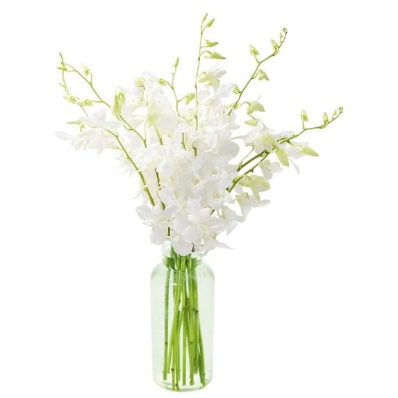 KaBloom : Fields of Tranquility Bouquet of 20 White Orchid With Vase.Gift for Birthday, Sympathy, Anniversary, Get Well, Thank You, Valentine, Mother’s Day Fresh Flowers