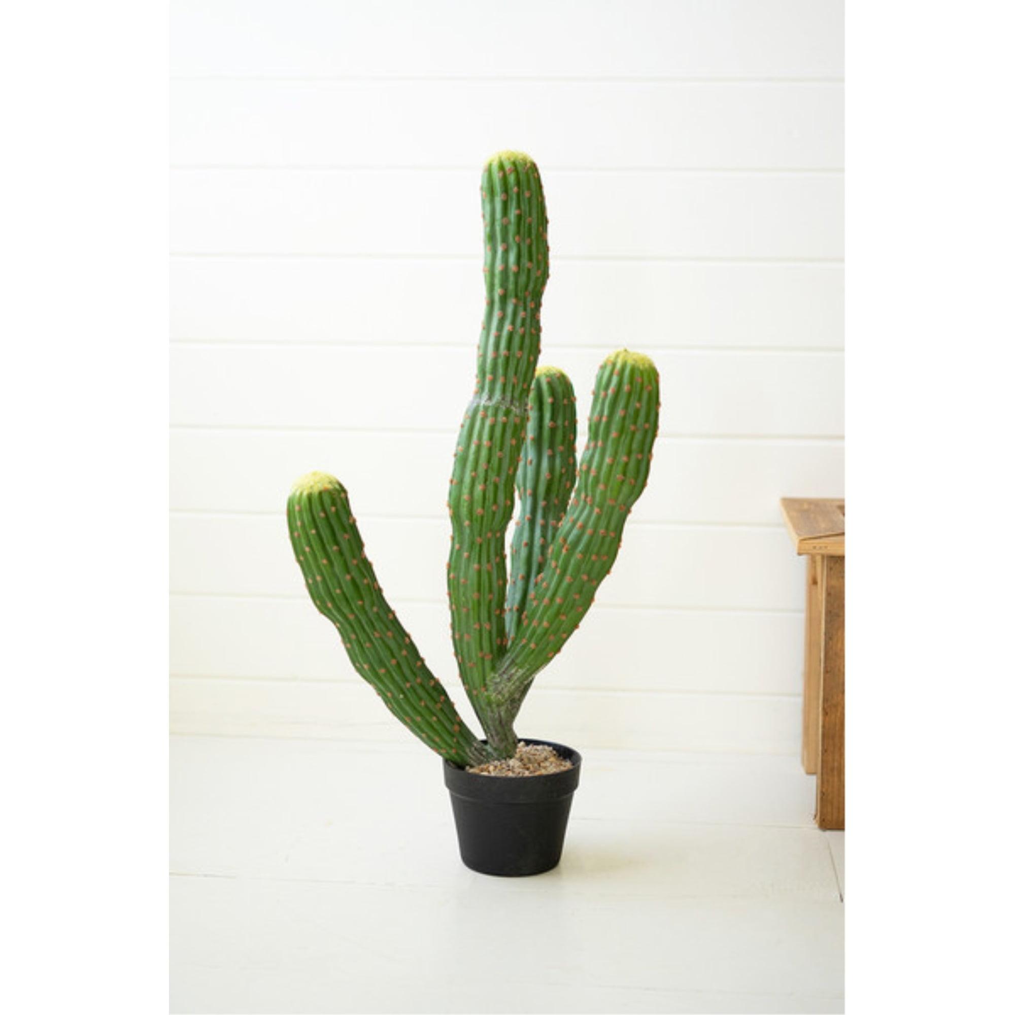 Desert Mirage Tall Artificial Multi Trunk Cactus in Plastic Pot