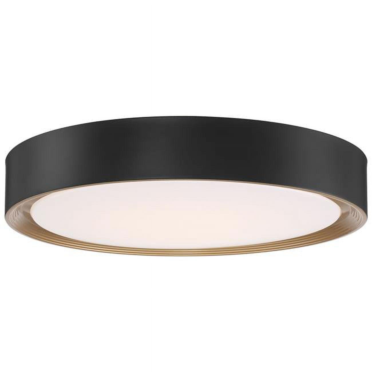 Matte Black Slim LED Flush Mount Indoor/Outdoor Drum Light