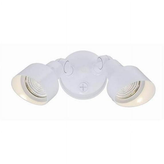 Acclaim LFL2WH LED FloodLights Collection 2-Light Outdoor Light Fixture, Gloss White