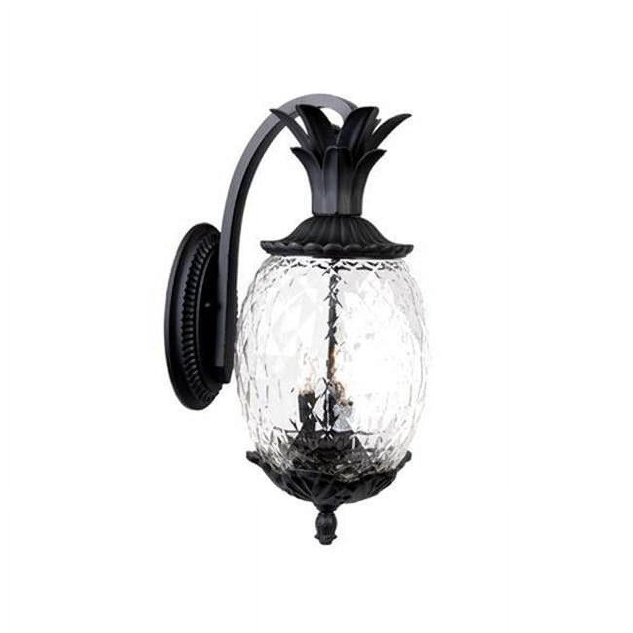 Lanai Matte Black Dimmable Outdoor Lantern Wall Sconce