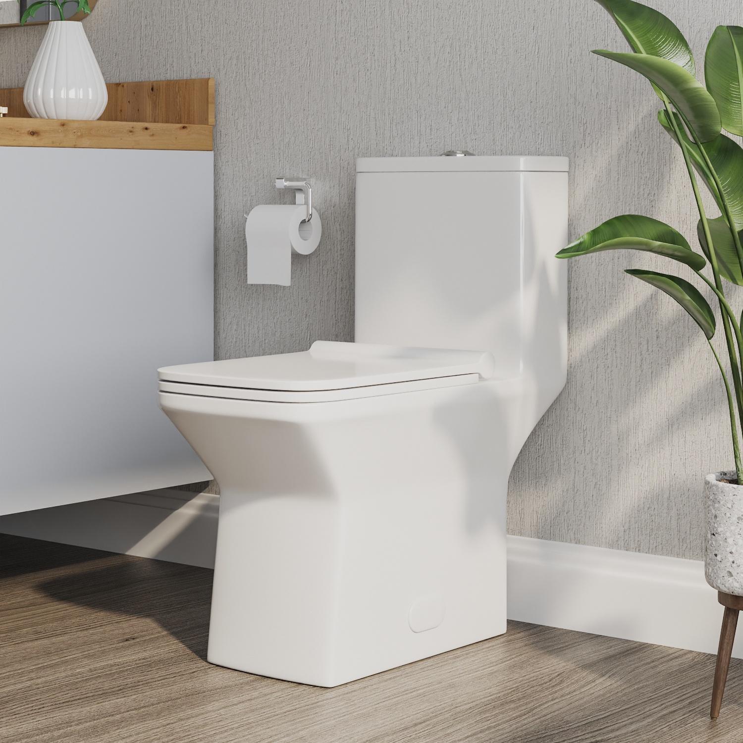 Ace White Ceramic Dual-Flush Elongated One-Piece Toilet