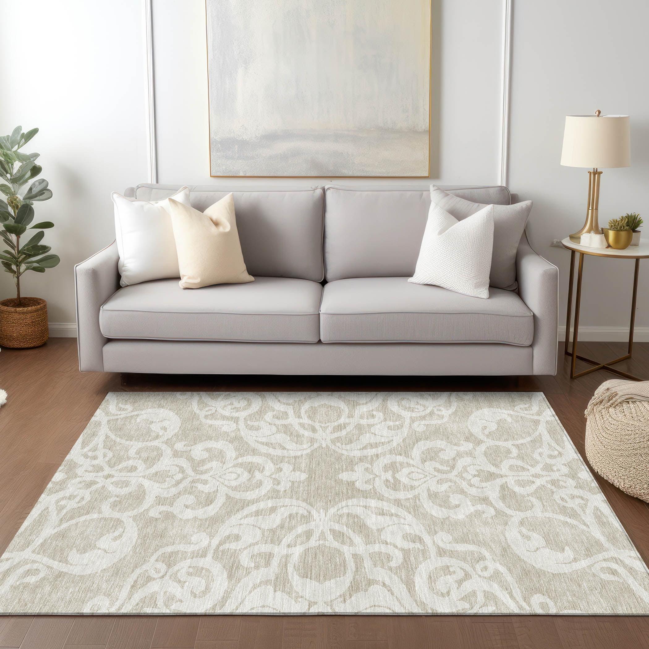 Chayden Washable Damask Indoor / Outdoor Rug