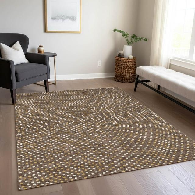 Machine Washable Indoor/Outdoor Chayden ACN1021 Brown 9' x 12' Rug