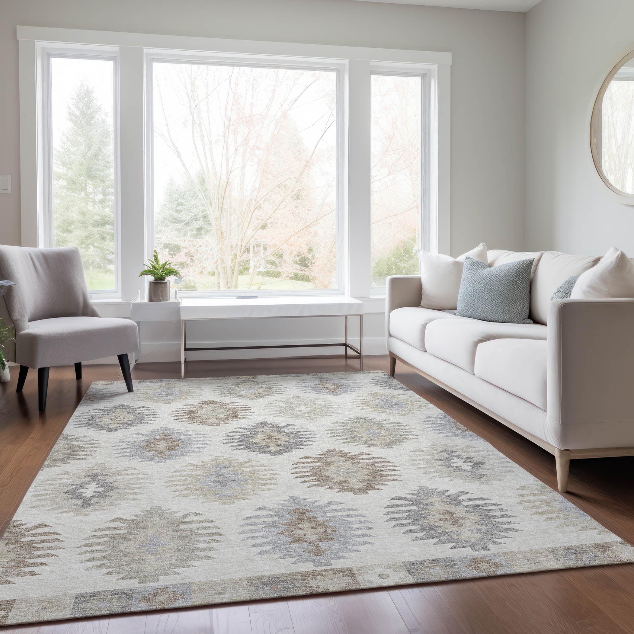 Chayden Washable Southwestern Indoor / Outdoor Rug