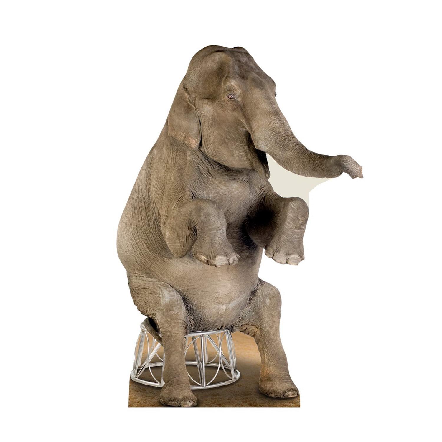 Life-Size Gray Asian Elephant Cardboard Standup