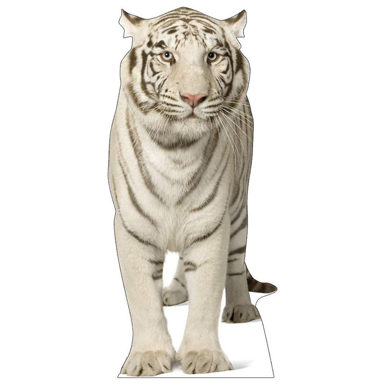 Life-Size White Tiger Cardboard Standup 52" x 24"