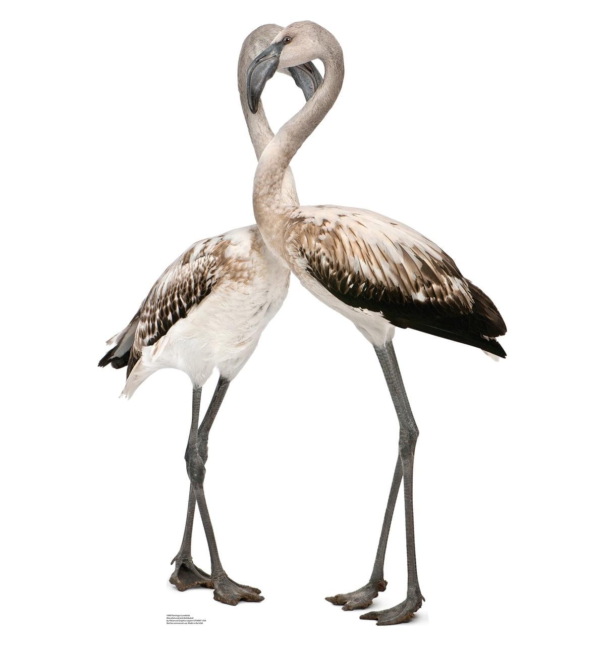 Life-Size Flamingos Lovebirds Cardboard Standup