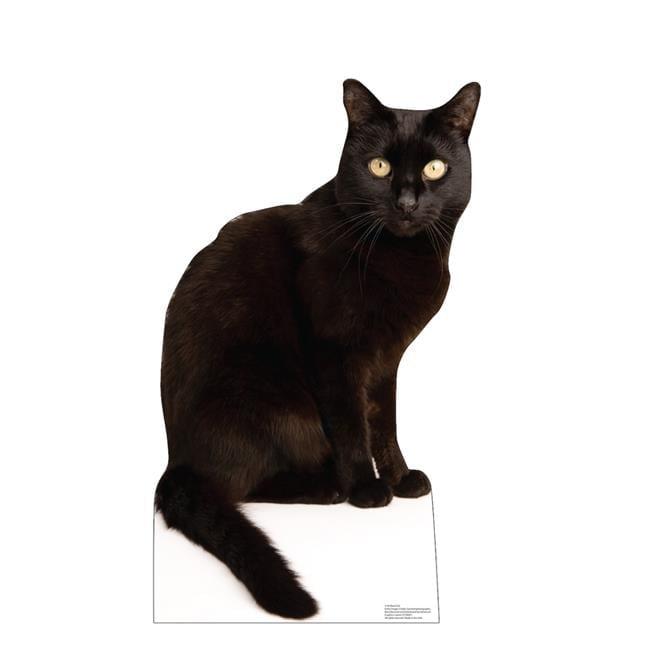 Advanced Graphics 5185 36 x 21 in. Black Cat Life-Size Cardboard Cutout