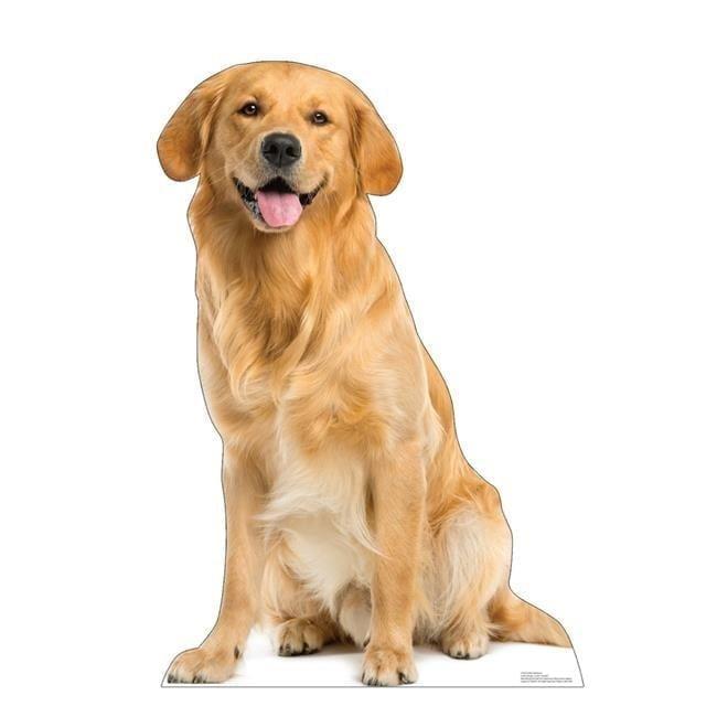 Golden Retriever Life-Size Cardboard Stand-Up, 45" x 30"