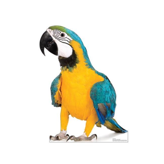 Vibrant Blue and Yellow Parrot Life-Size Cardboard Cutout