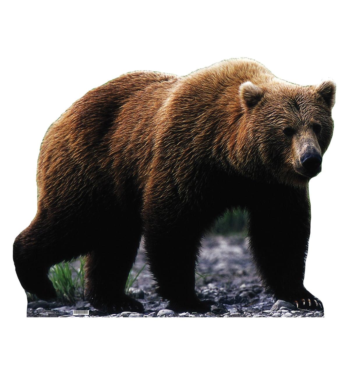 Grizzly Bear Life-Size Cardboard Stand-Up