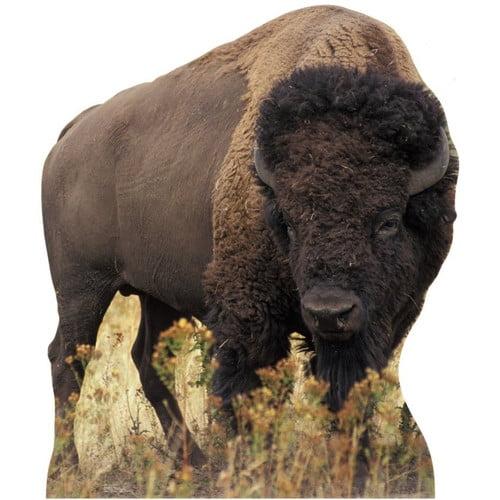 Life-Size Dark Brown Bison Cardboard Standup