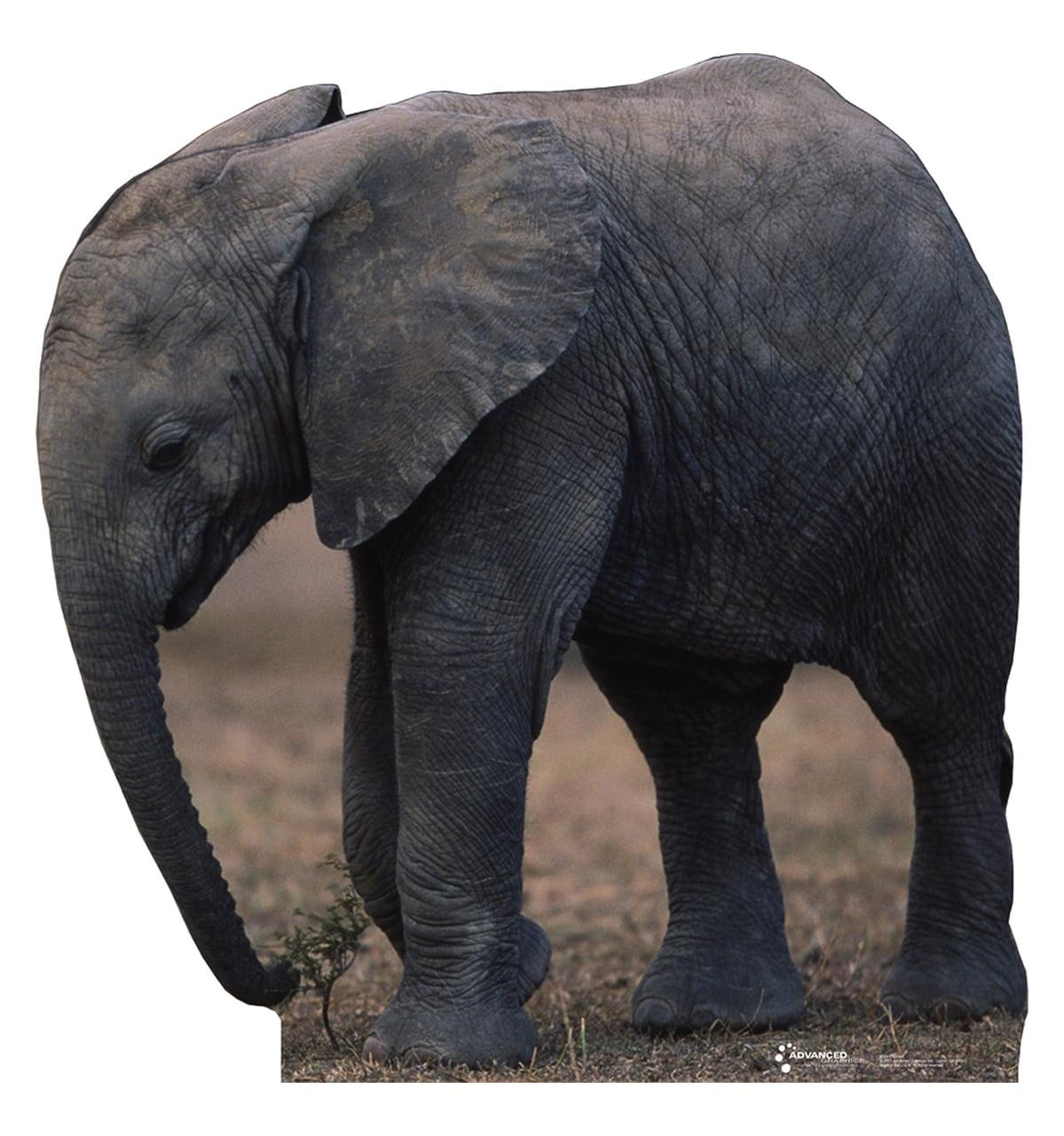 Advanced Graphics Animals 55'' Animals Cardboard Standup