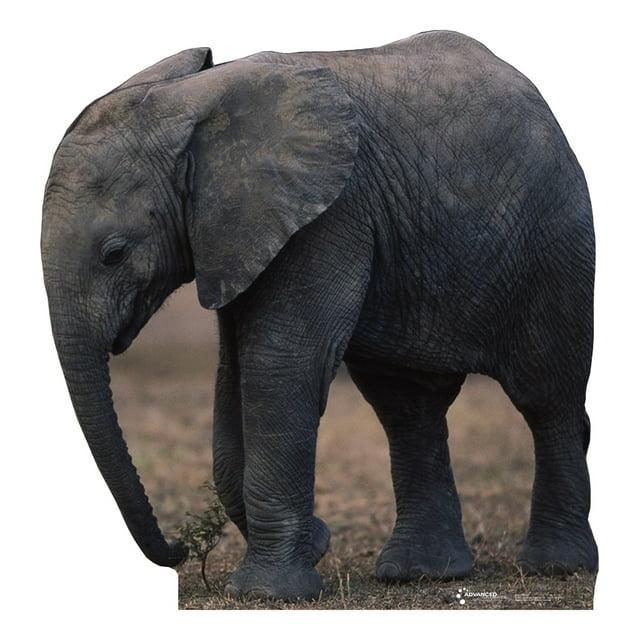 Advanced Graphics Animals 55'' Animals Cardboard Standup