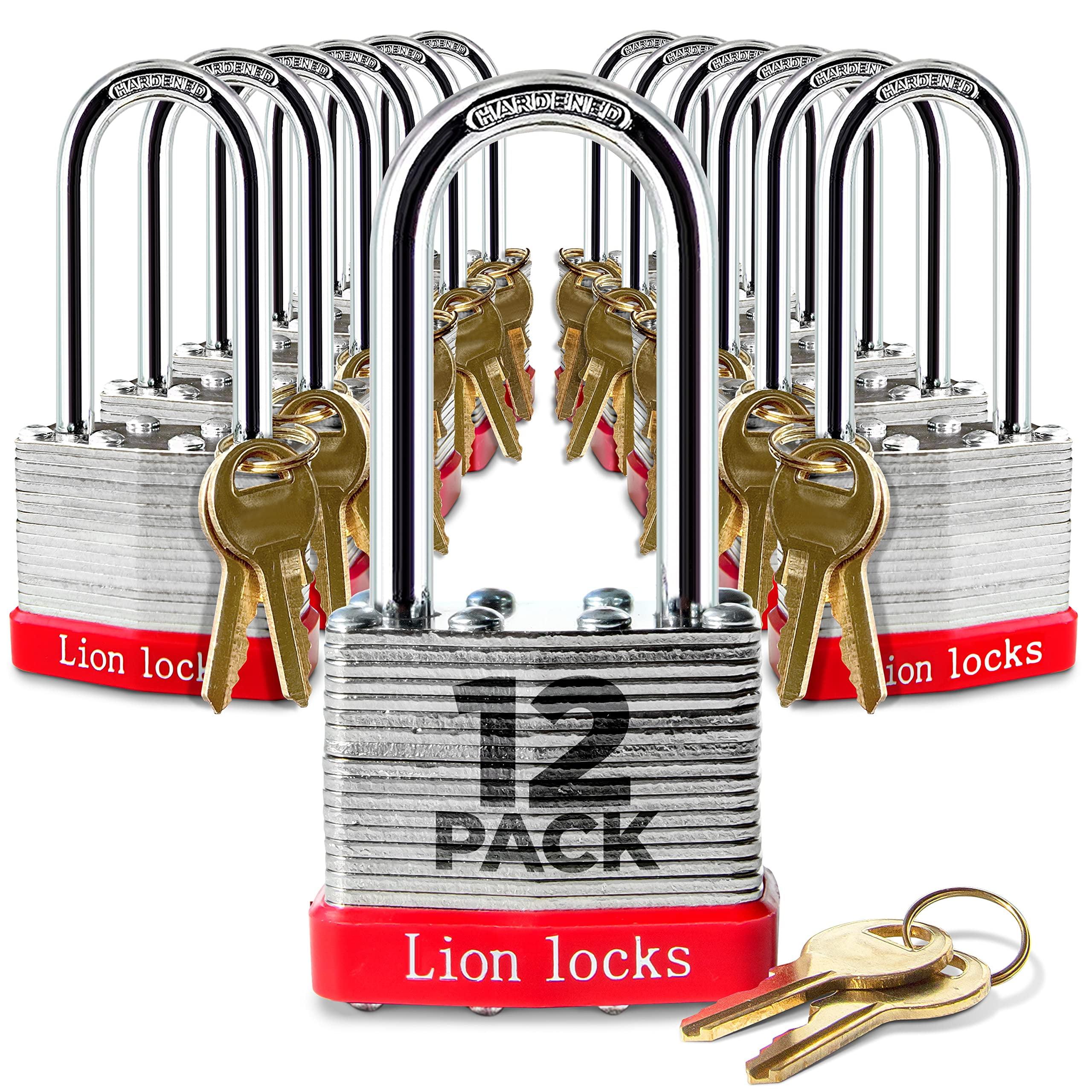 Lion Locks 12 Keyed Alike Padlocks with 2" Long Shackle, 24 Keys - Locks with Keys for Outdoor Use, Hardened Steel Case