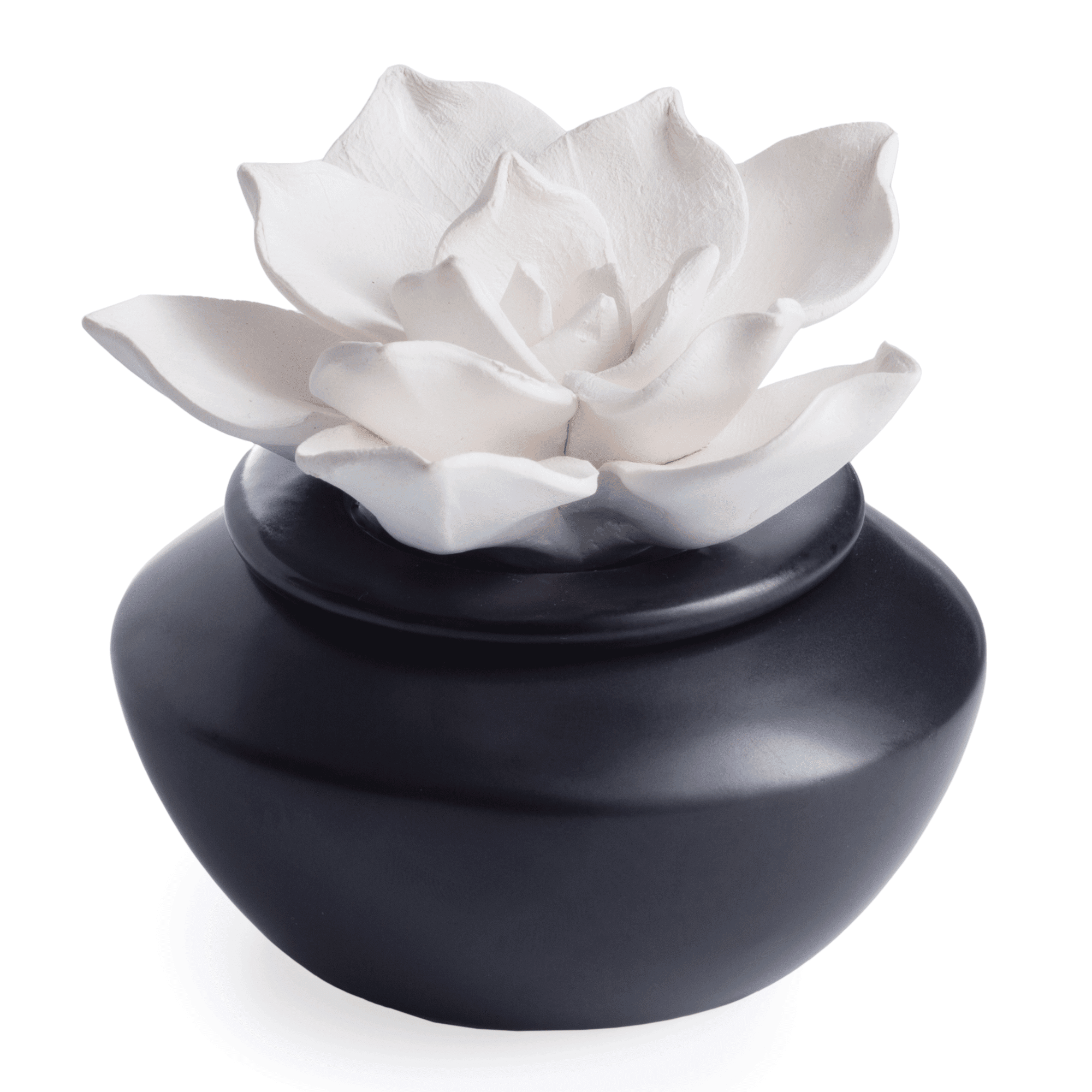 Botanical Porcelain Gardenia Electric Diffuser with Peppermint Oil