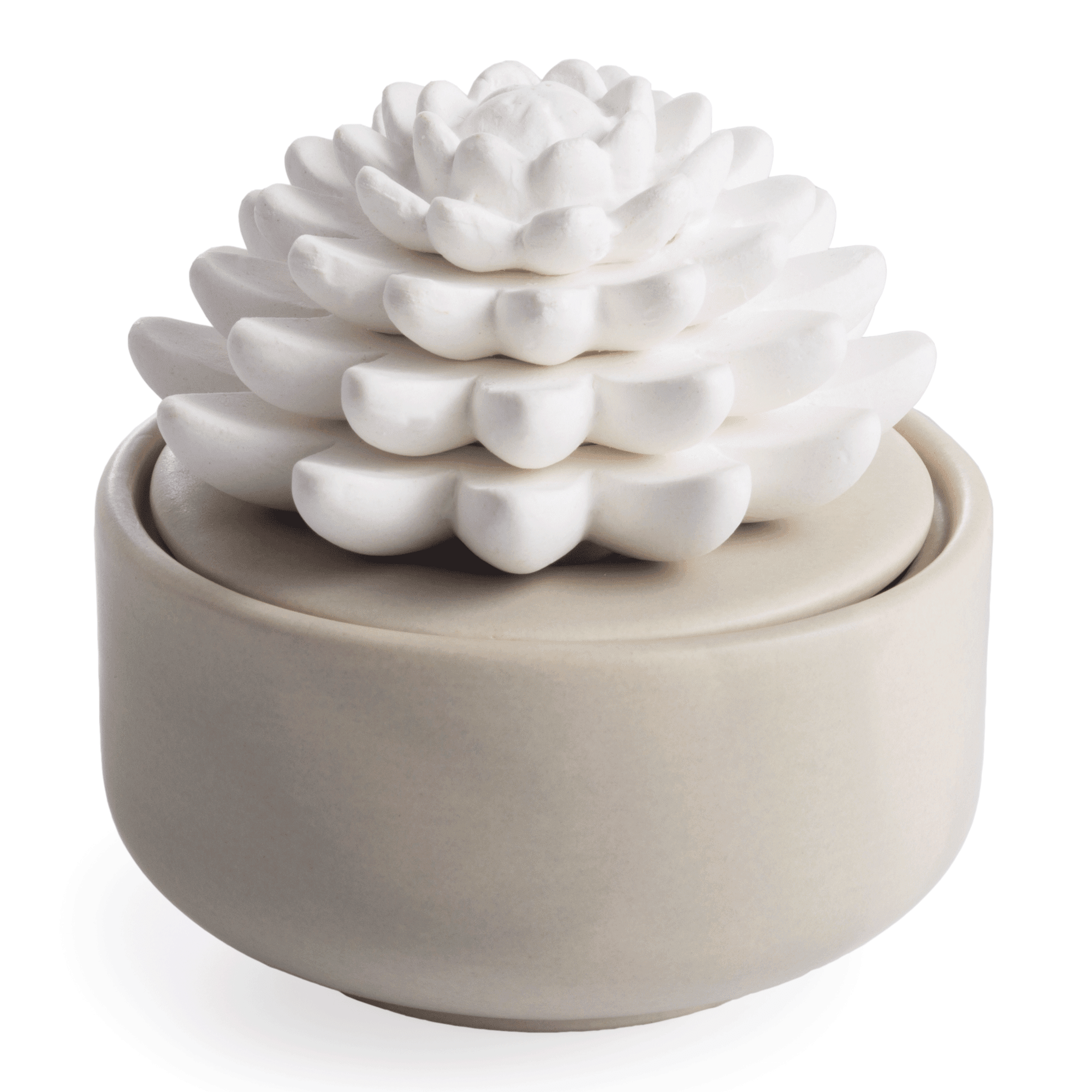 Warm Gray Matte Porcelain Succulent Electric Diffuser with Peppermint Oil