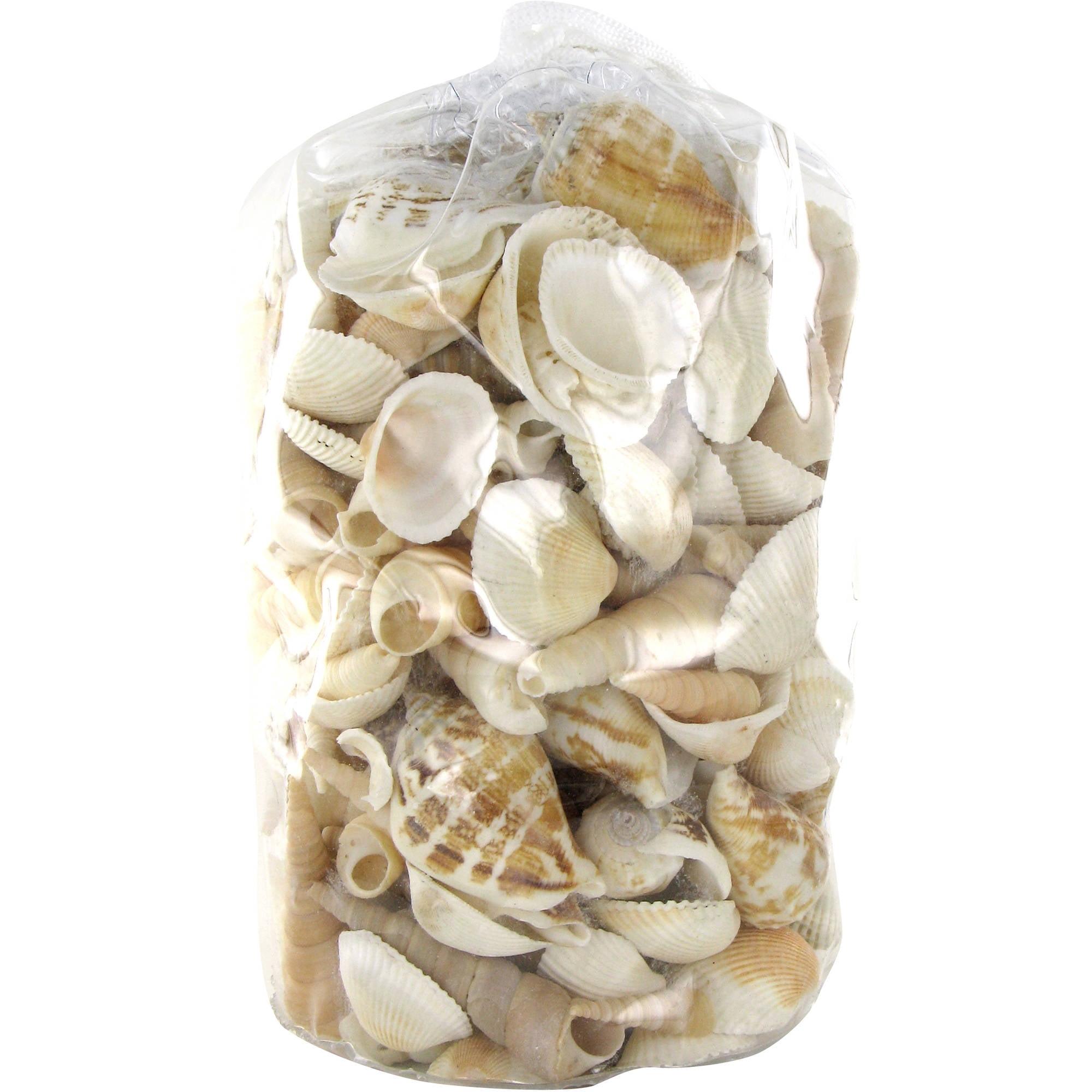 Akasha Superfoods Decorative White Shells, 1.5 lb. Bag, Assorted Craft Shells