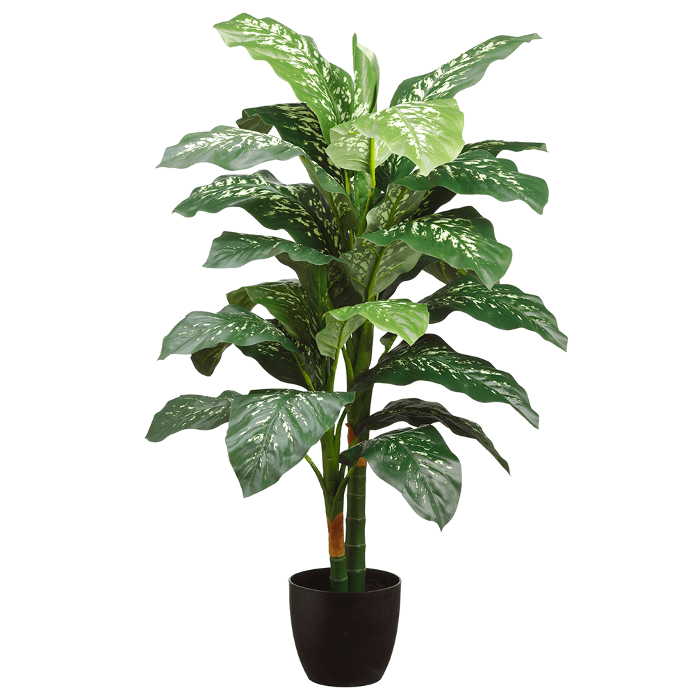 Elegant 4' Double Trunk Dieffenbachia Faux Plant in Black Pot