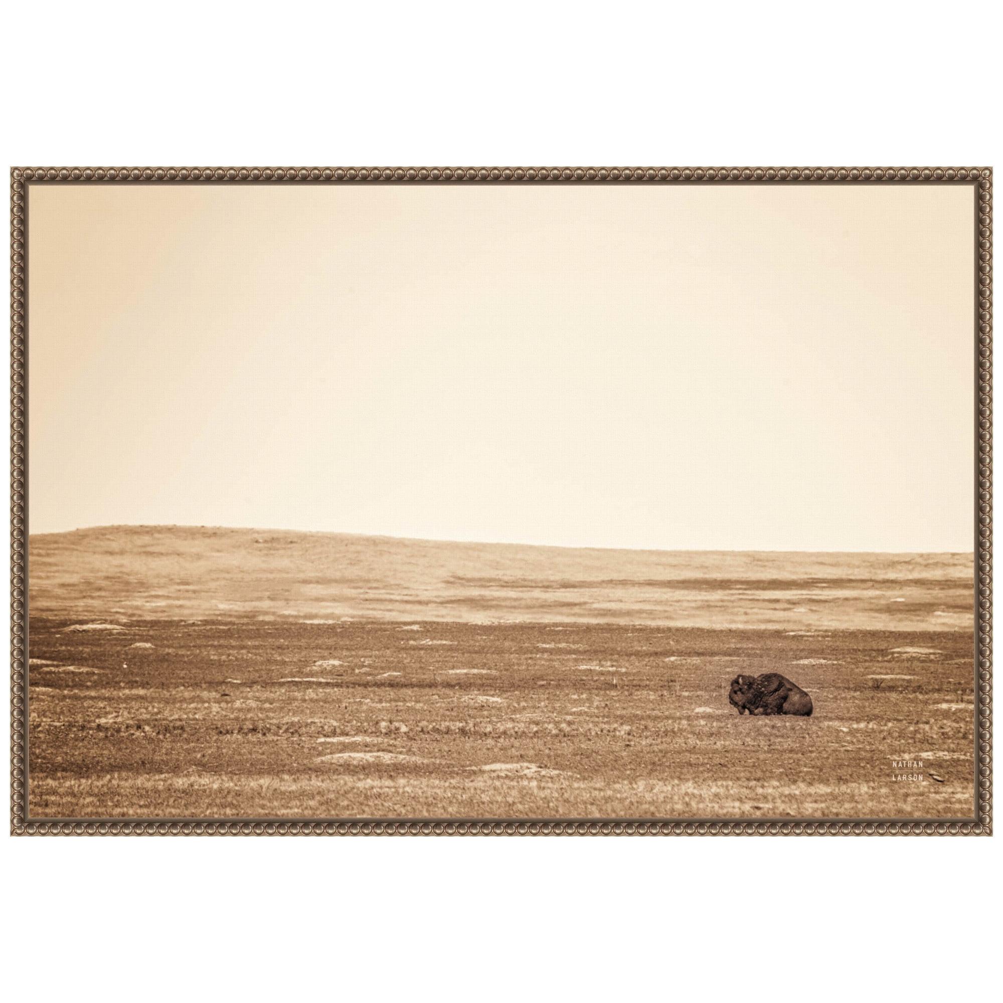 33"x23" Badlands Bison Sepia by Nathan Larson Framed Canvas Wall Art Print Bronze - Amanti Art: Modern Style, Polystyrene Frame, Animal Theme