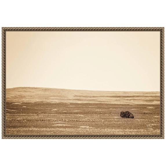 Amanti Art Badlands Bison Sepia by Nathan Larson Canvas Wall Art Print Framed 23 x 16-in.