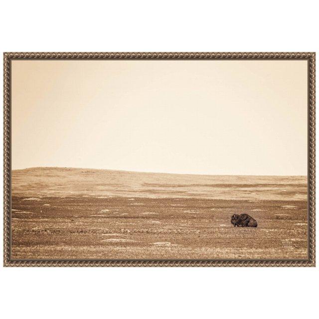Amanti Art Badlands Bison Sepia by Nathan Larson Canvas Wall Art Print Framed 23 x 16-in.