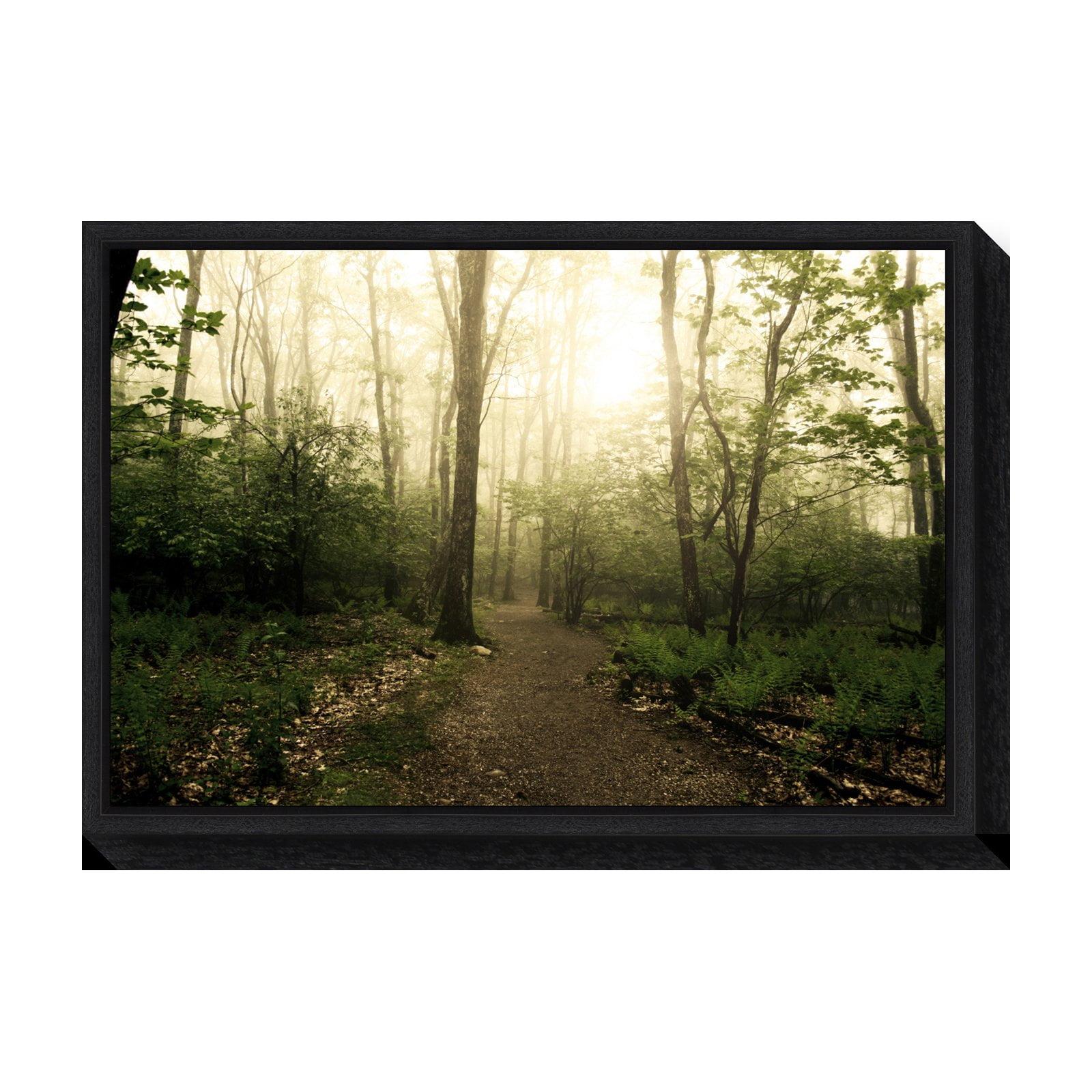 Amanti Art Appalachian Trail by Andy Magee Framed Canvas Wall Art