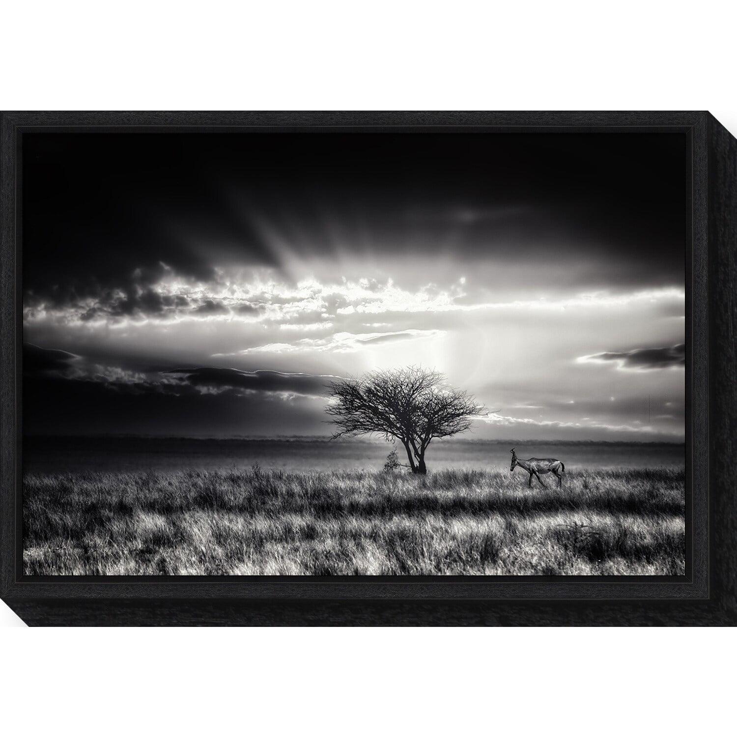 Black and White Framed Canvas Art Print, 23" x 16"