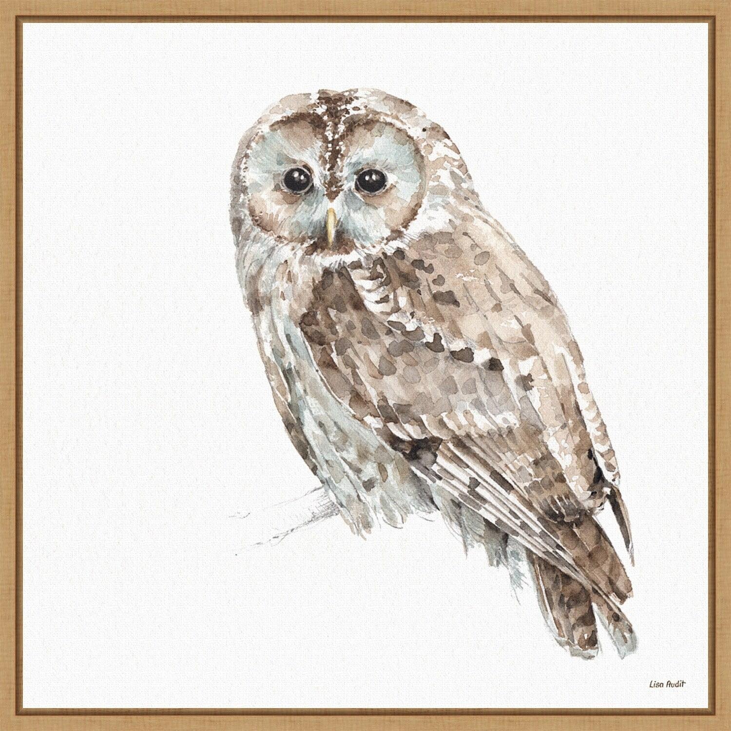 Small Brown and Aqua Framed Owl Canvas Print