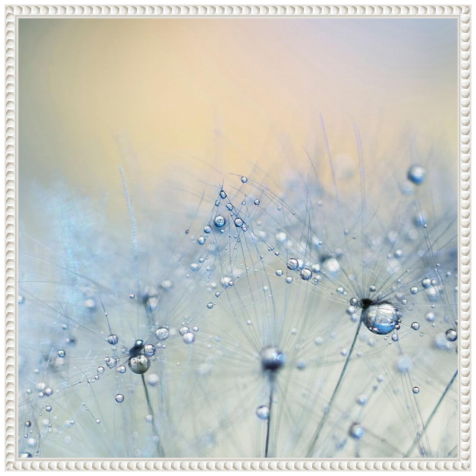 Ice Blue Dandelion Macro Canvas Print with White Floater Frame