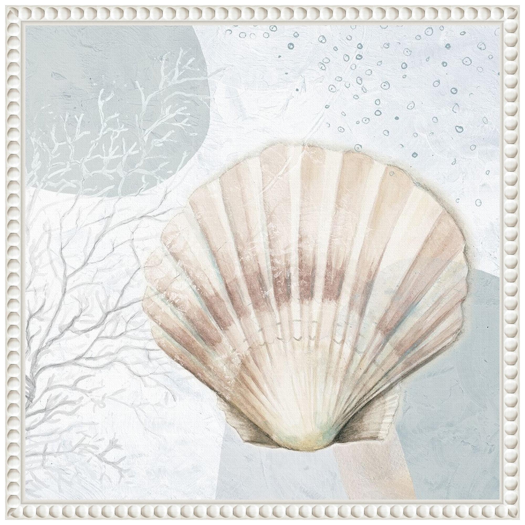 Amanti Art Ocean Oasis Bubbles Blush Scallop by Patricia Pinto Canvas Wall Art Print Framed 16 x 16-in.