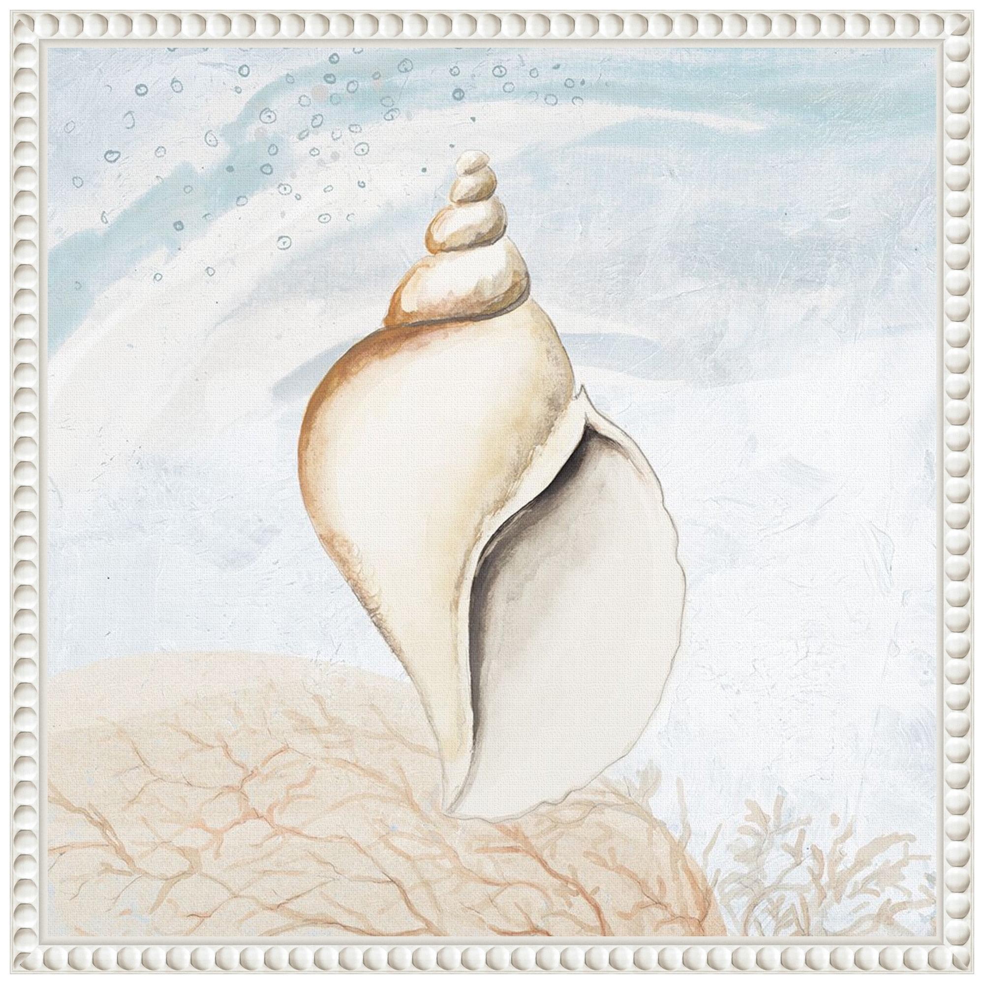 Amanti Art Ocean Oasis Tropical Seashell I by Patricia Pinto Canvas Wall Art Print Framed 16 x 16-in.
