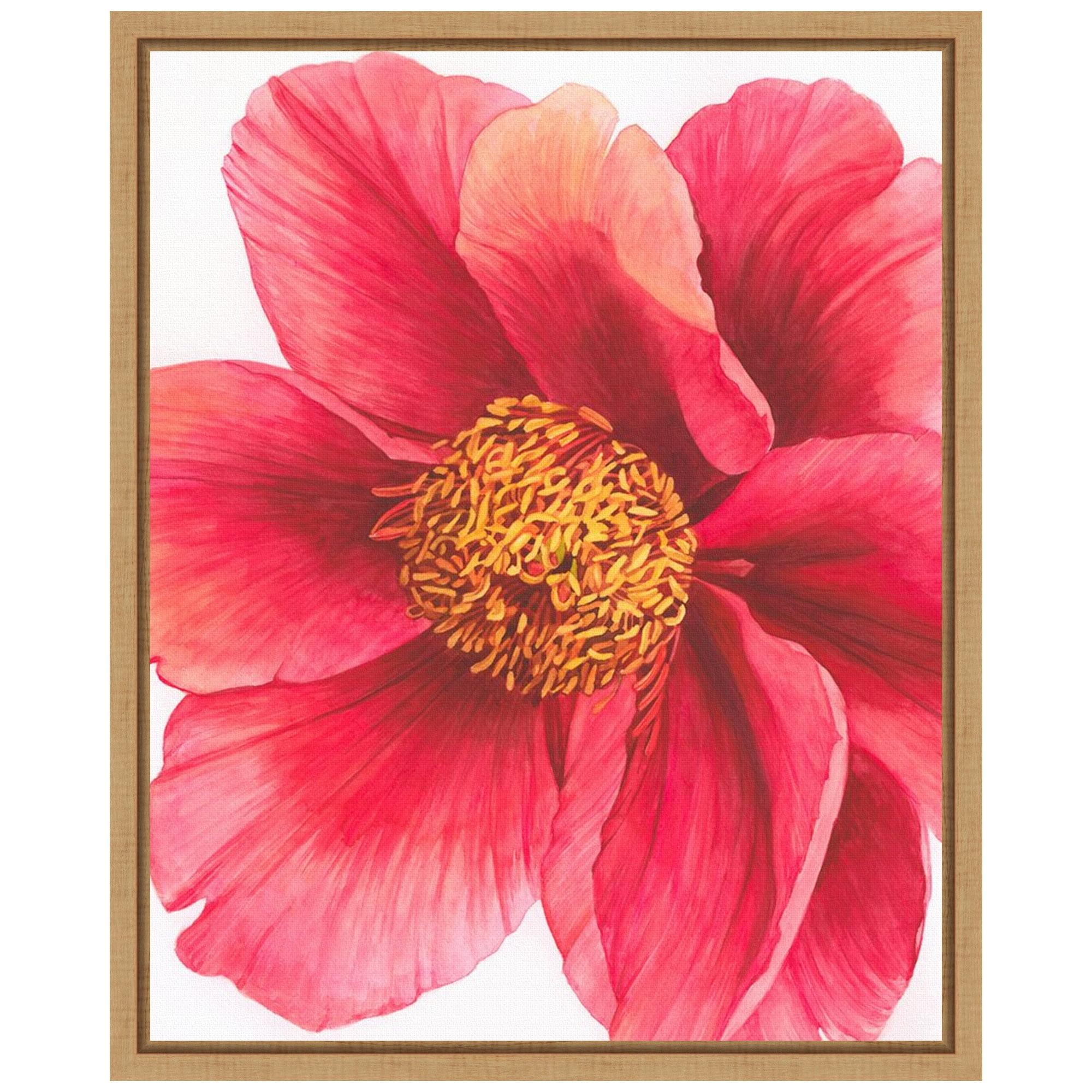 Amanti Art 16"x20" Tree Peony II by Grace Popp Framed Canvas Wall Art Print