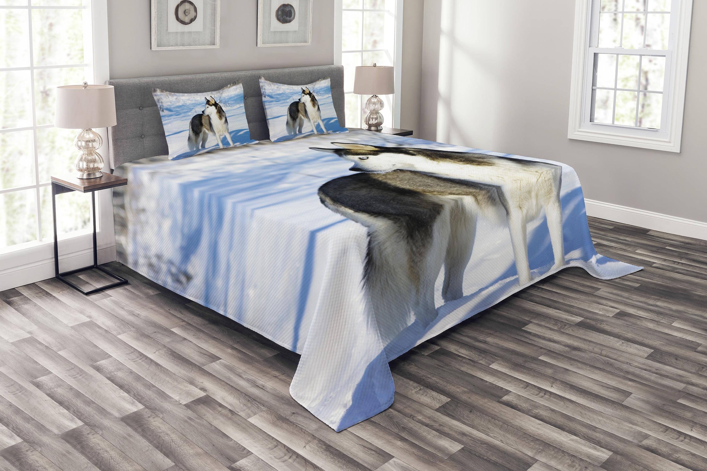 Ambesonne Alaskan Malamute Bedspread Set Husky on Snow Black White Pale Blue | Wayfair
