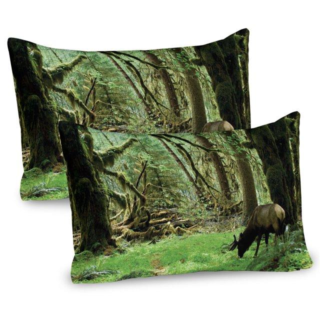 Ambesonne Ambesonne Forest Pillow Sham 2 Pack Roosevelt Elk in Park 26"x20" Green Brown