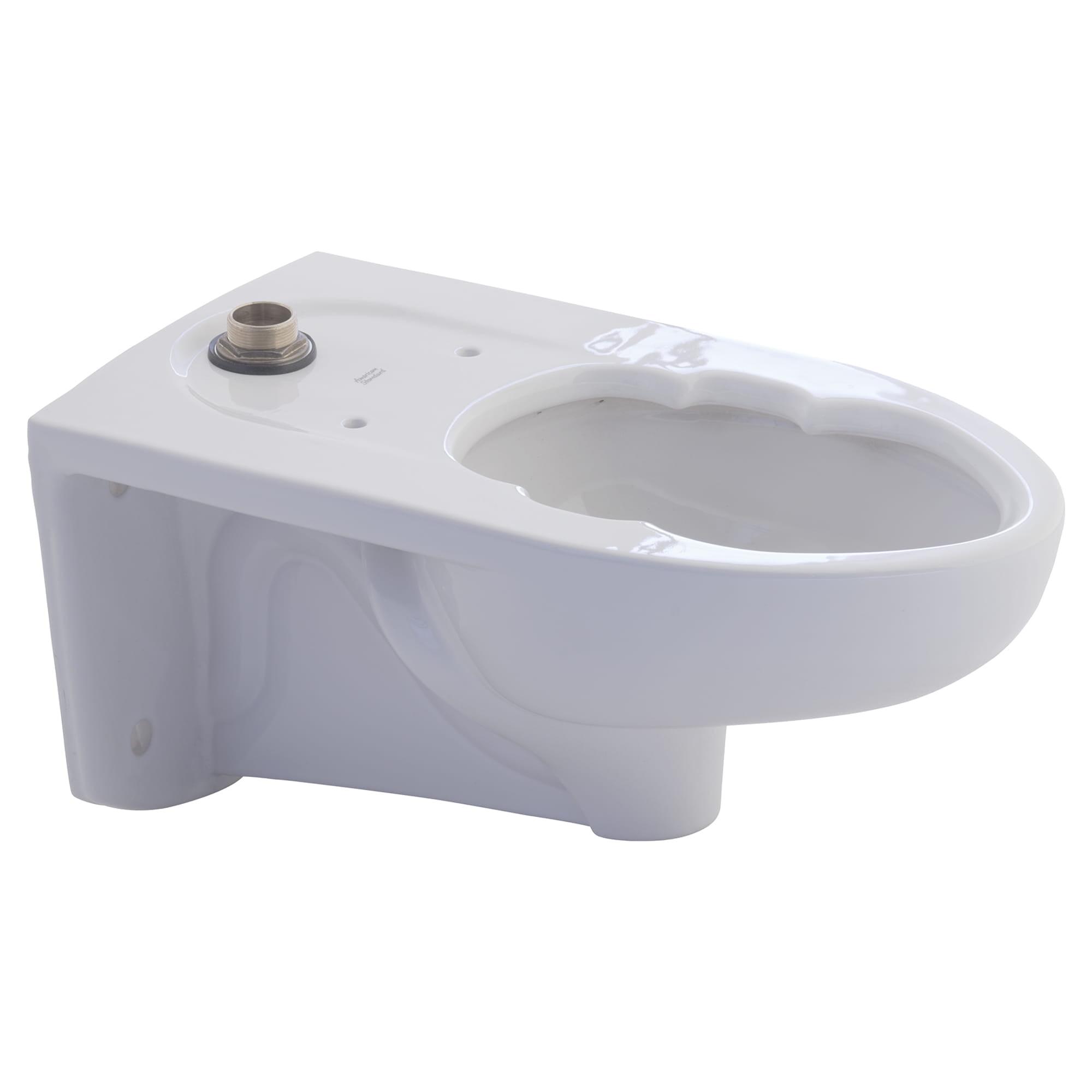 Afwall Millennium Flowise Dual Flush Elongated One-Piece Toilet