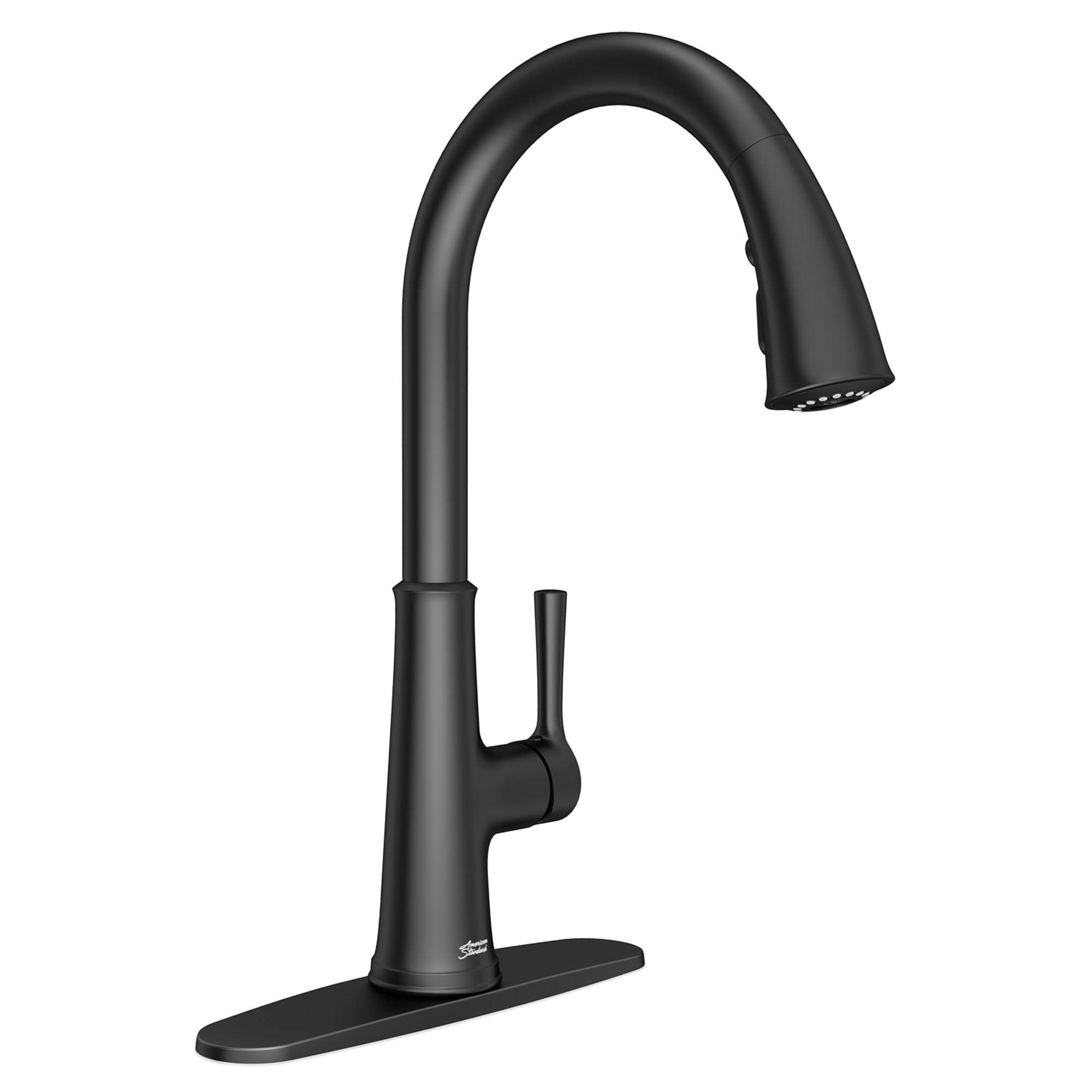 Matte Black Single Handle Pull-Down Kitchen Faucet with Spray