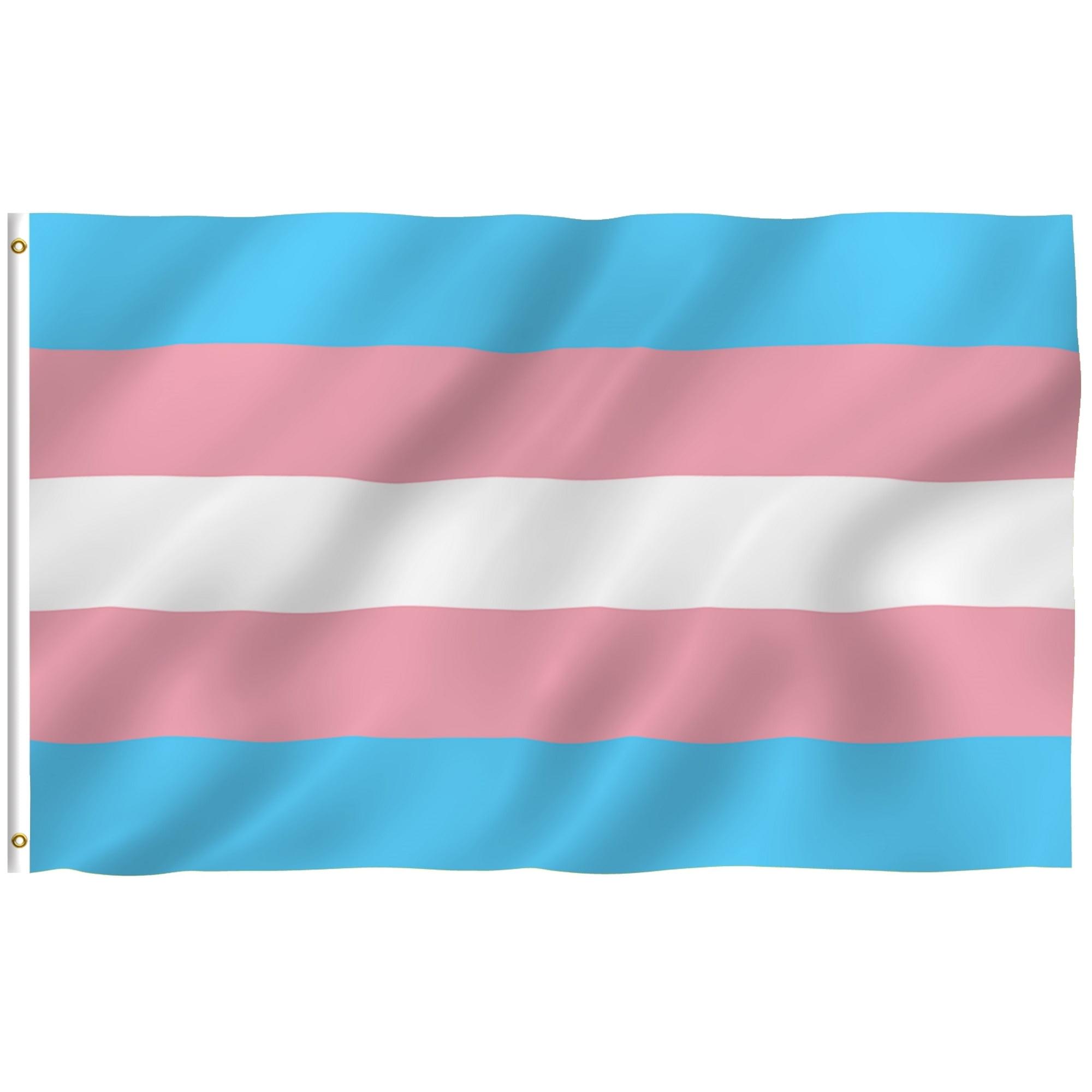 3x5 Foot Transgender Pride Flag with Brass Grommets