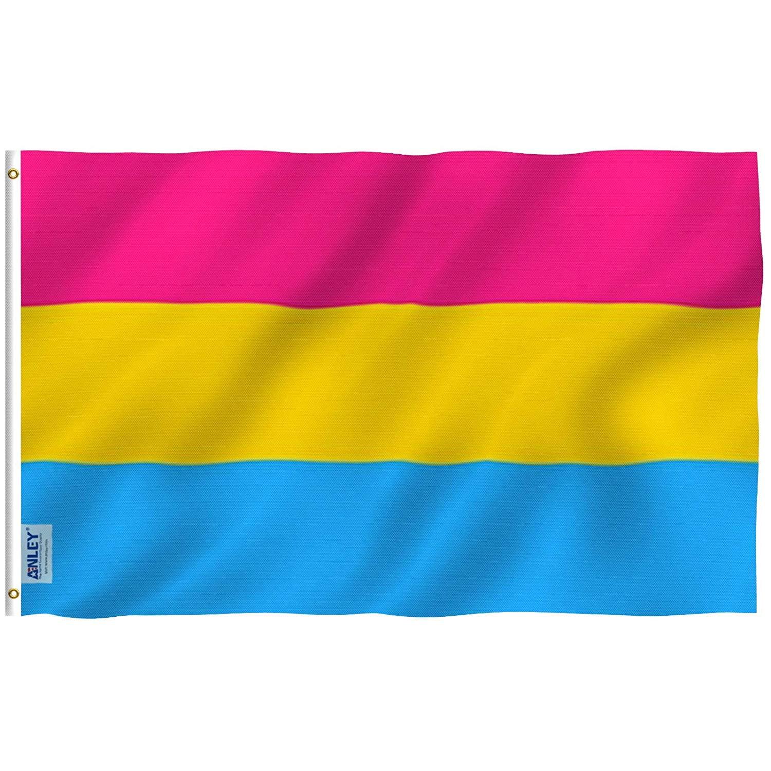 3x5 Foot Pansexual Pride Flag with Brass Grommets