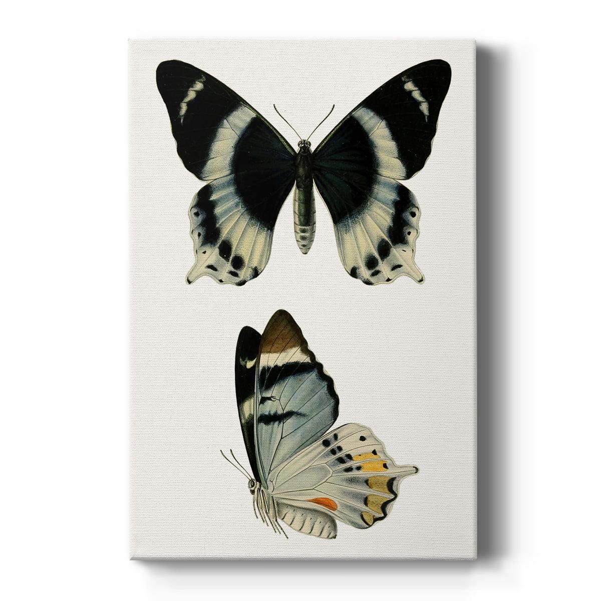 Vintage Blue Butterflies Gallery Wrapped Canvas Art